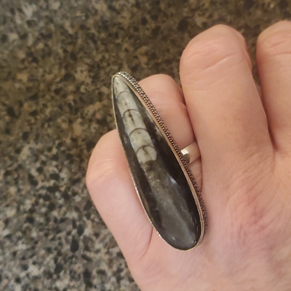 New Huge Orthoceras Fossil 925 Silver Statement Ring. - Picture 6 of 10